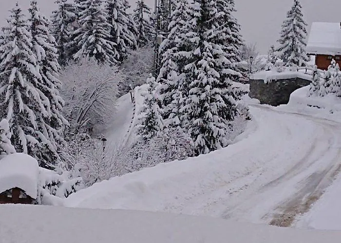 5 Pers. Courchevel, Proche Pistes, Parking Couvert - Fr-1-514-24 Lejlighed